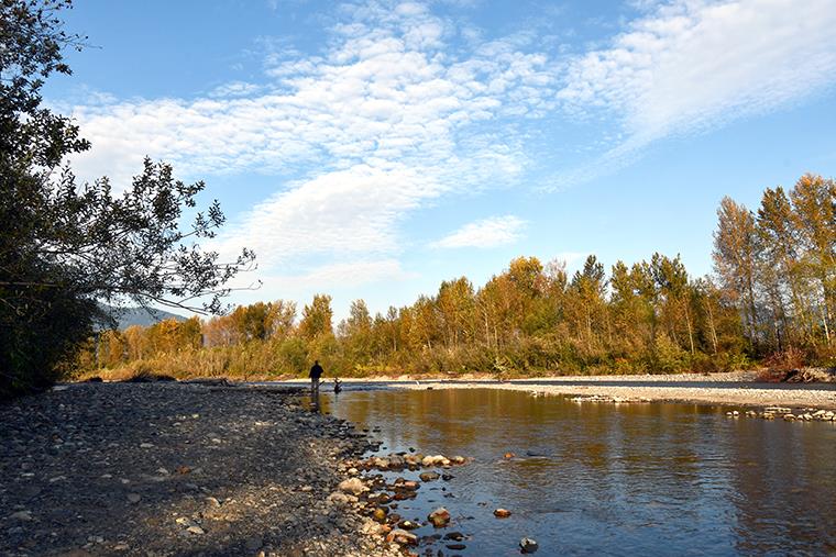 Some fall fishing on the Vedder